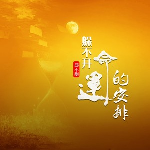 躲不开命运的安排 (广场舞曲版)