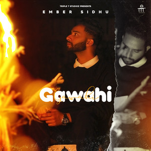 Gawahi