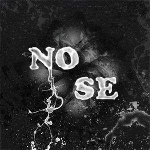 NO SE (Explicit)