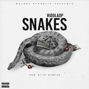 Snakes (feat. Srt Sauce) [Explicit]