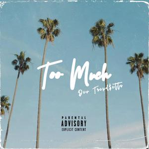 Too Much (Explicit)
