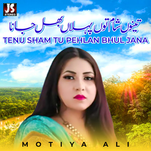 Tenu Sham Tu Pehlan Bhul Jana