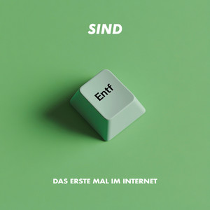 Das erste Mal im Internet