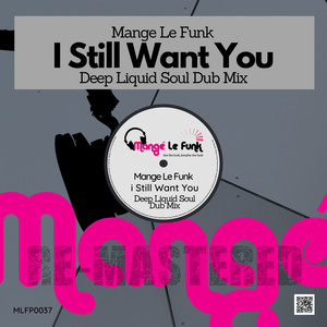 I Still Want You (Deep Liquid Soul Dub Mix)