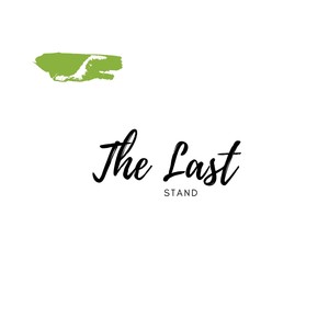 The Last Stand