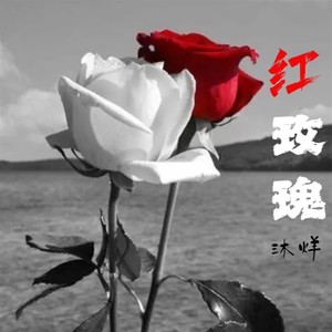 红玫瑰 (Live)