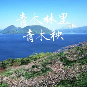 青木林里青木秧（完整版）