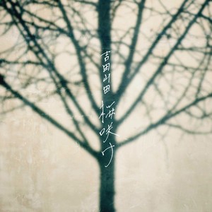 桜咲け (樱花绽放) (TV Edit)