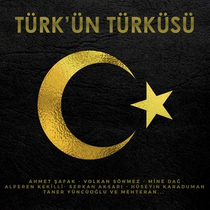 Türk'ün Türküsü