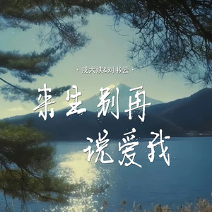 来生别再说爱我 (对唱版)