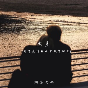 太多(为了爱情我也背叛了所有)