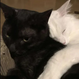 iz bırakanlar unutulmaz