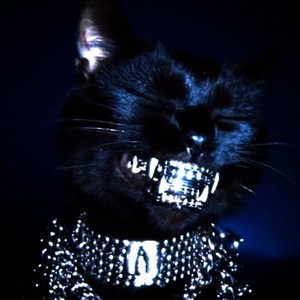 DineroFeriayPlata (Explicit)