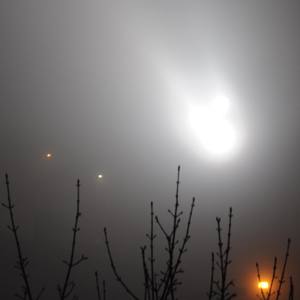 Return To The Country Of Last Things