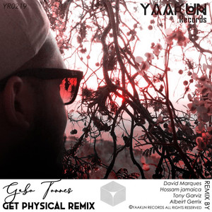 Get Physical Remix