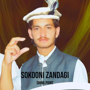 Sokooni Zandagi