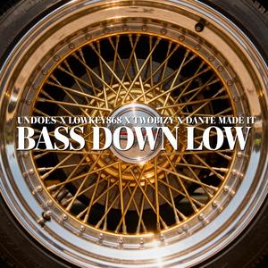 Bass Down Low (feat. Undoes, Lowkey868, TWOBIZY & Dante Made It) (Explicit)