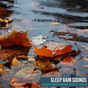 Sleep Rain Sounds - Handpicked Nature Music, Vol.4