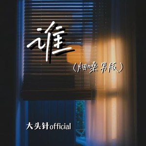 大头针 Official - 谁 (烟嗓男版)