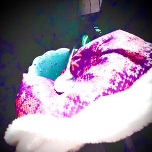 Christmas (Explicit)