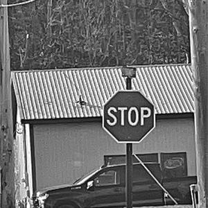 ONE TRICK PONY (Explicit)