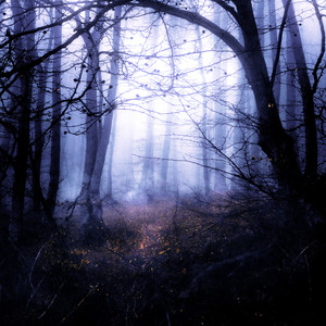 Voice (prod. by Playa Mir) (Explicit)