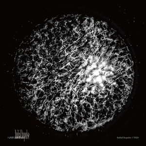 Obtained our current location by