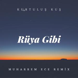 Rüya Gibi (Remix)