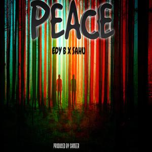 PEACE (feat. SAHU)