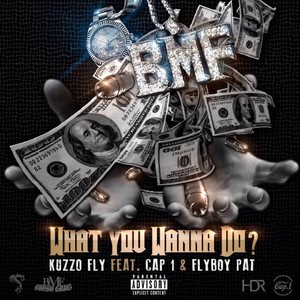 What You Wanna Do? (feat. Cap 1 & Flyboy Pat) - Single [Explicit]