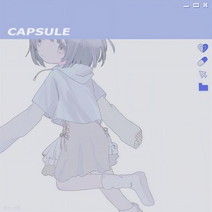 カプセル (胶囊)