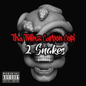 2 Snakes (Explicit)