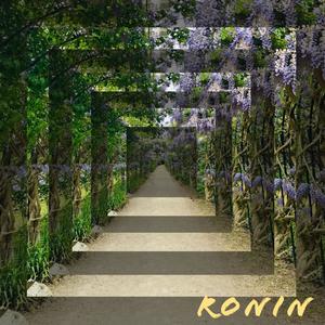 Ronin (Explicit)
