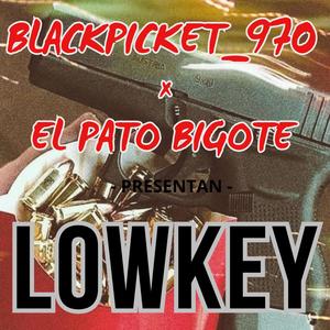 LOWKEY (feat. Black picket 970, MAIRON RECORDS & Pato bigote) (Explicit)