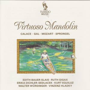 Duo for Mandolin and Guitar, Op. 85/2: II. Allegro vivace