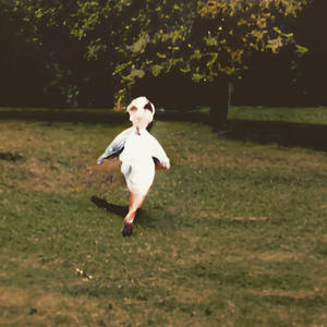 the budapest conspiracy