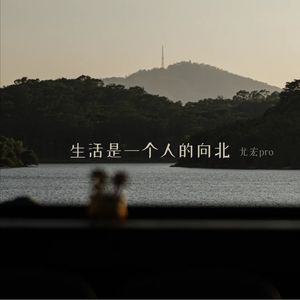 生活是一个人的向北