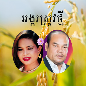 អង្ករស្រូវថ្មី