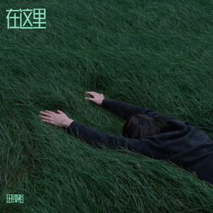 在这里