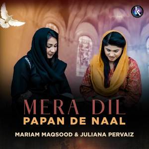 Mera Dil Papan De Naal