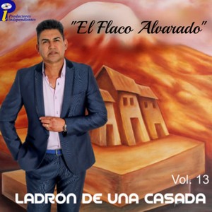 Ladrón de una Casada Vol. 13