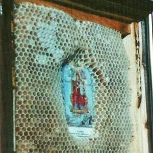 FollowedTheBEEStoGONDAR