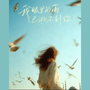 我眼里的雨（已淋不到你）