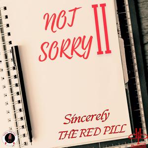 NOT SORRY II (Explicit)