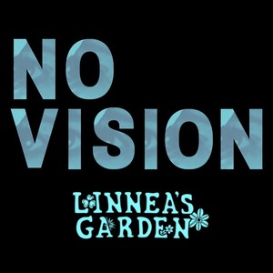 No Vision