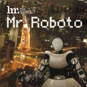 Mr. Roboto