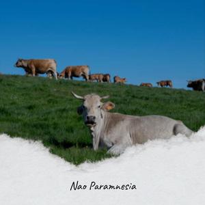 Nao Paramnesia