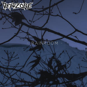 Rainroom
