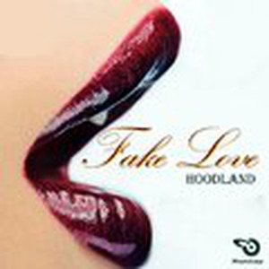 Drake - Fake Love (Remix)