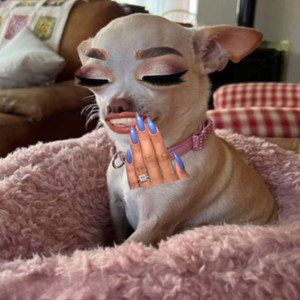 Ataque psicótico de medianoche